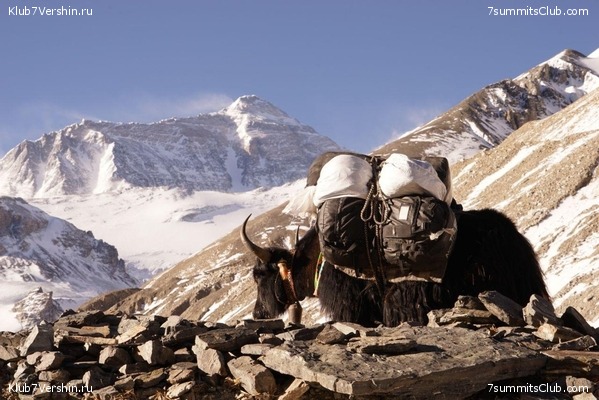 ������� 2019. ��������������, ����� 1, ���� 53