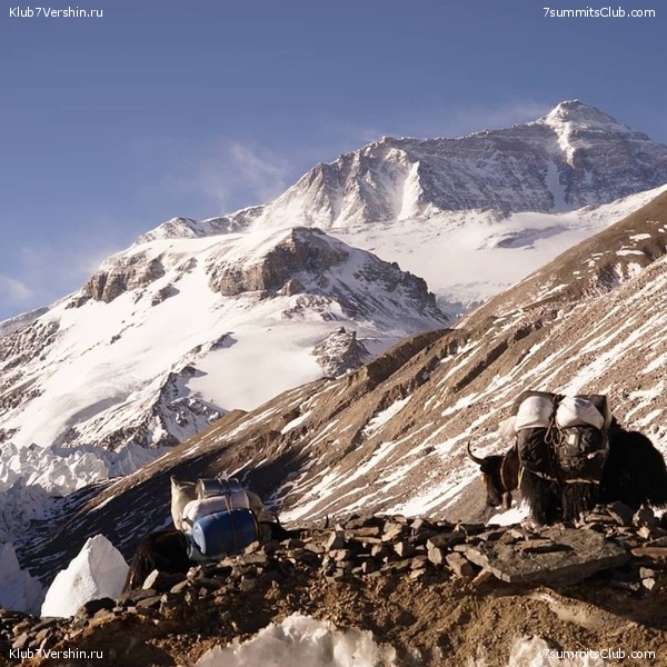 ������� 2019. ��������������, ����� 1, ���� 129