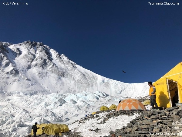 �����. ������� 2019., ���� 24