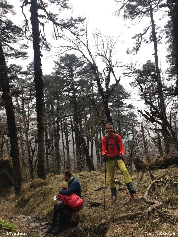 �����. ������� 2019., ���� 85