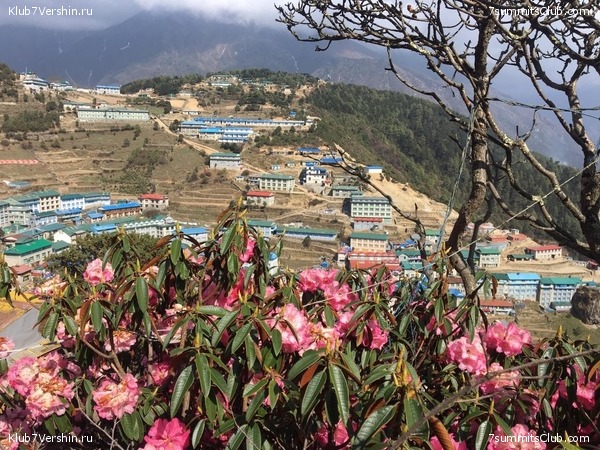 �����. ������� 2019., ���� 45