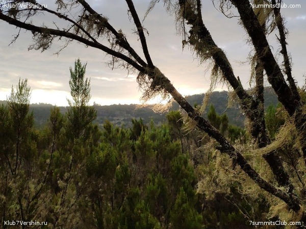 ������������ 2019 ���. ���� - ���, ���� 35