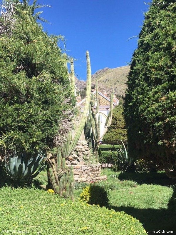 �������. ��� 2019 ����. ����� ���������, ���� 103