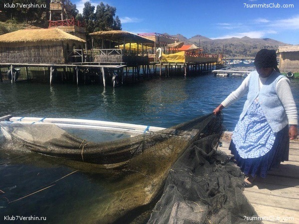 �������. ��� 2019 ����. ����� ���������, ���� 14