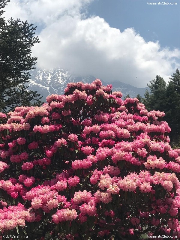 �����. ������� 2019., ���� 93