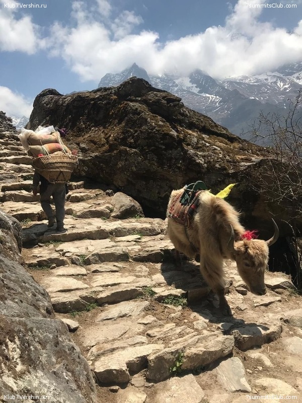 �����. ������� 2019., ���� 94