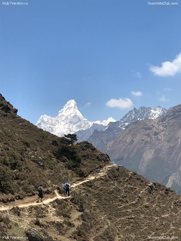 �����. ������� 2019., ���� 95