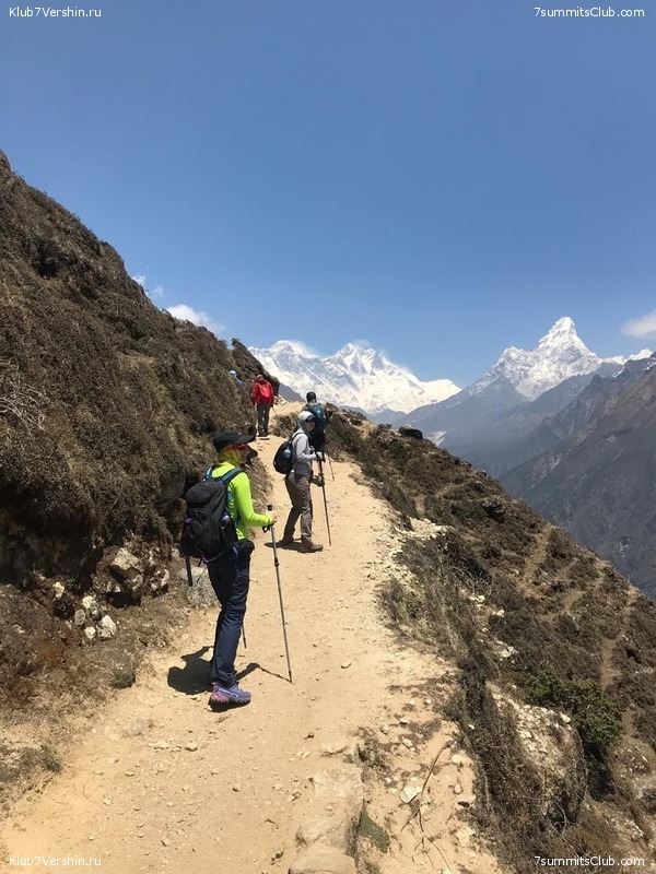 �����. ������� 2019., ���� 96