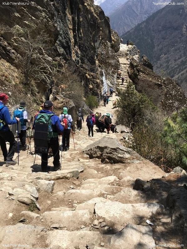 �����. ������� 2019., ���� 100