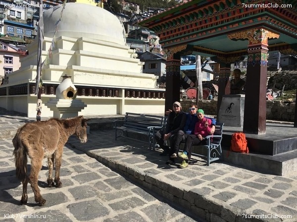 �����. ������� 2019., ���� 55