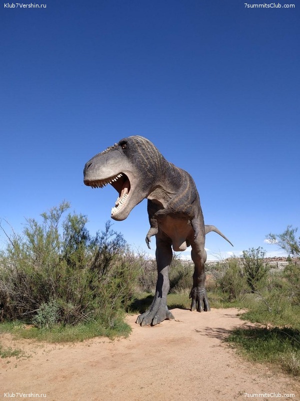 ������-�����. 2019, ���� 58