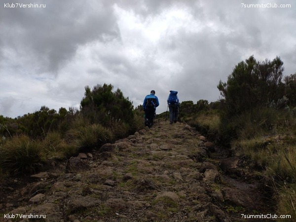 ������������ 2019 ���. ���� - ���, ���� 43