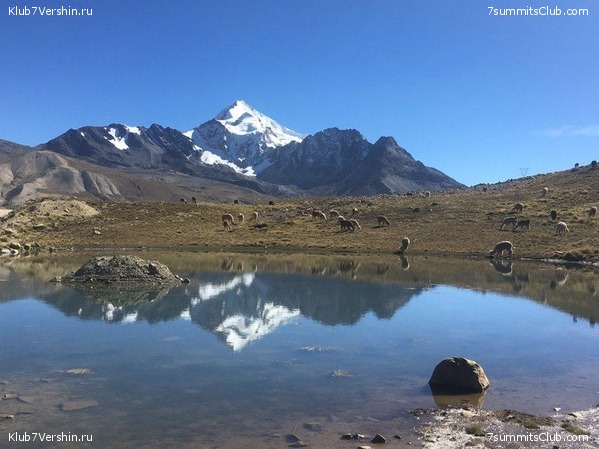 �������. ��� 2019 ����. ����� ���������, ���� 26