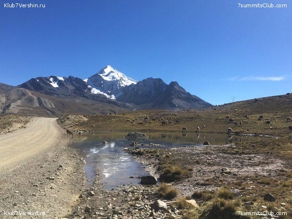 �������. ��� 2019 ����. ����� ���������, ���� 30