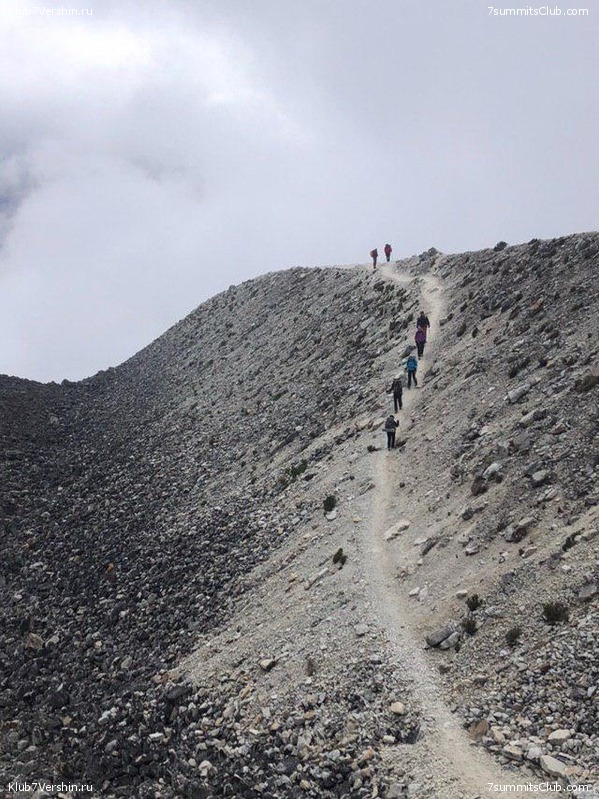 �������. ��� 2019 ����. ����� ���������, ���� 107