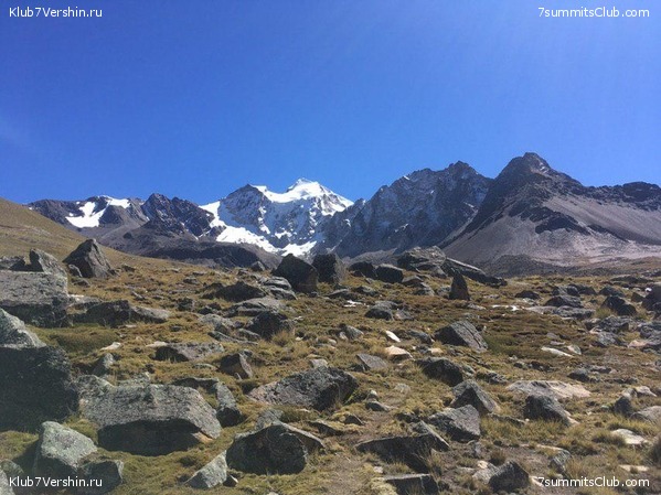 �������. ��� 2019 ����. ����� ���������, ���� 41