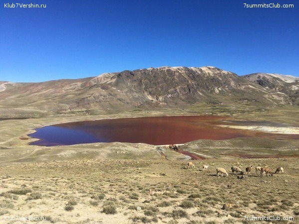 �������. ��� 2019 ����. ����� ���������, ���� 48