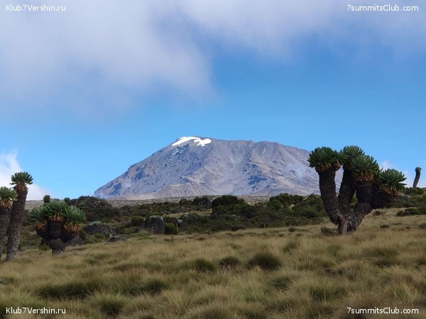 ������������ 2019 ���. ���� - ���, ���� 56