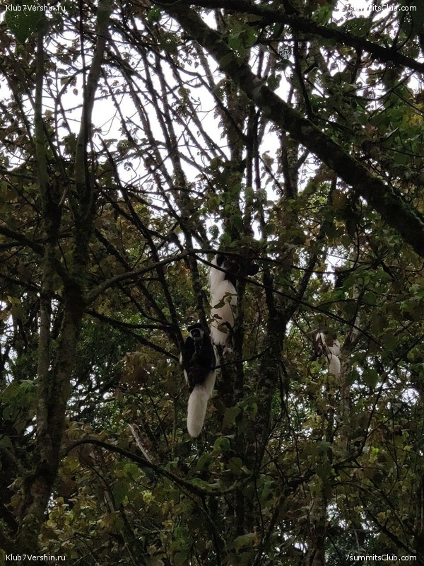 ������������ 2019 ���. ���� - ���, ���� 102