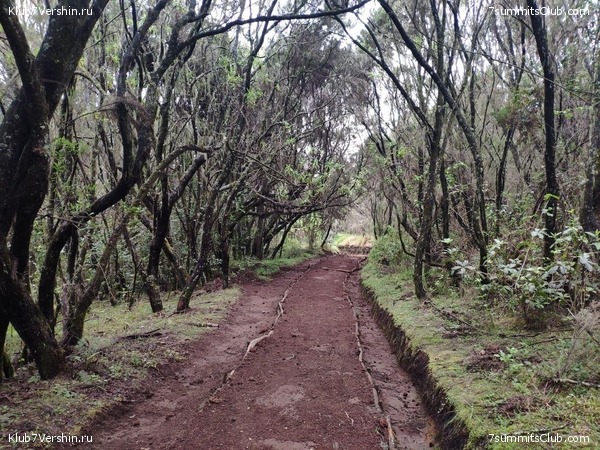 ������������ 2019 ���. ���� - ���, ���� 64