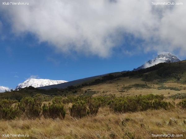 ������������ 2019 ���. ���� - ���, ���� 65