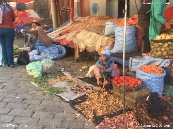 �������. ��� 2019 ����. ����� ���������, ���� 64