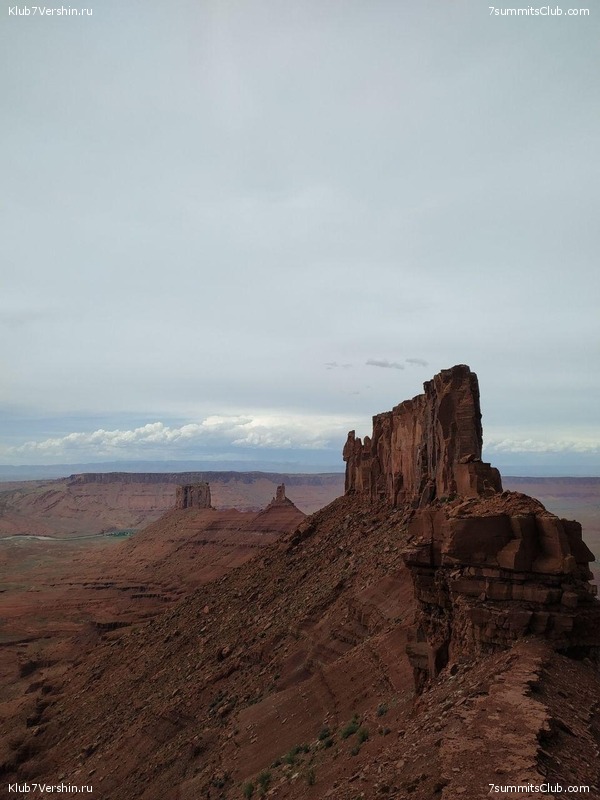 ������-�����. 2019, ���� 118