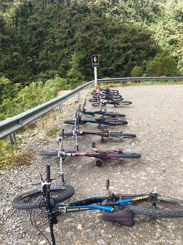 �������. ��� 2019 ����. ����� ���������, ���� 113