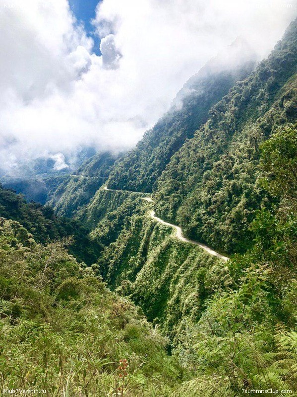 �������. ��� 2019 ����. ����� ���������, ���� 114