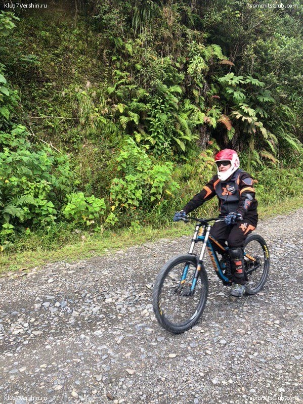 �������. ��� 2019 ����. ����� ���������, ���� 115