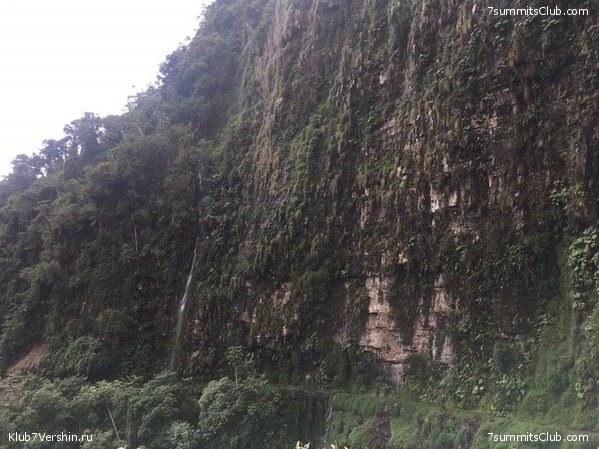 �������. ��� 2019 ����. ����� ���������, ���� 80