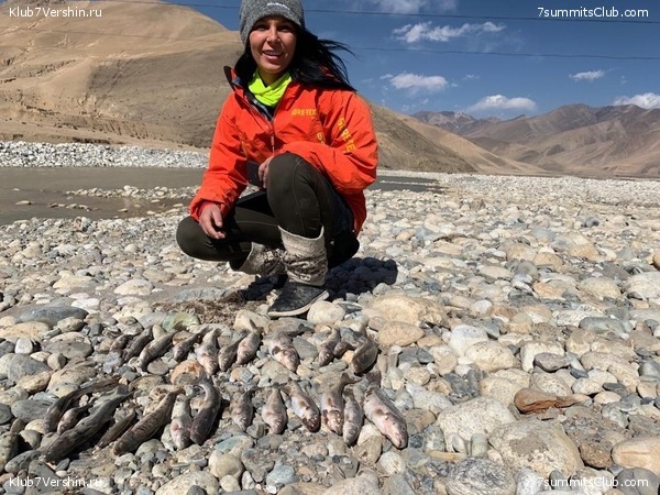 ������� 2019. ��������������. ����� 2, ���� 106