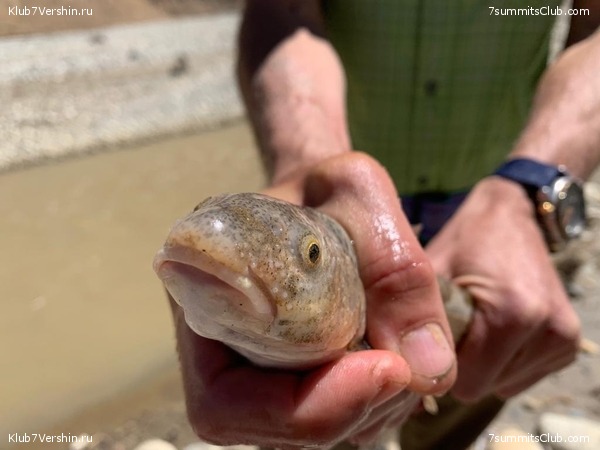 ������� 2019. ��������������. ����� 2, ���� 115