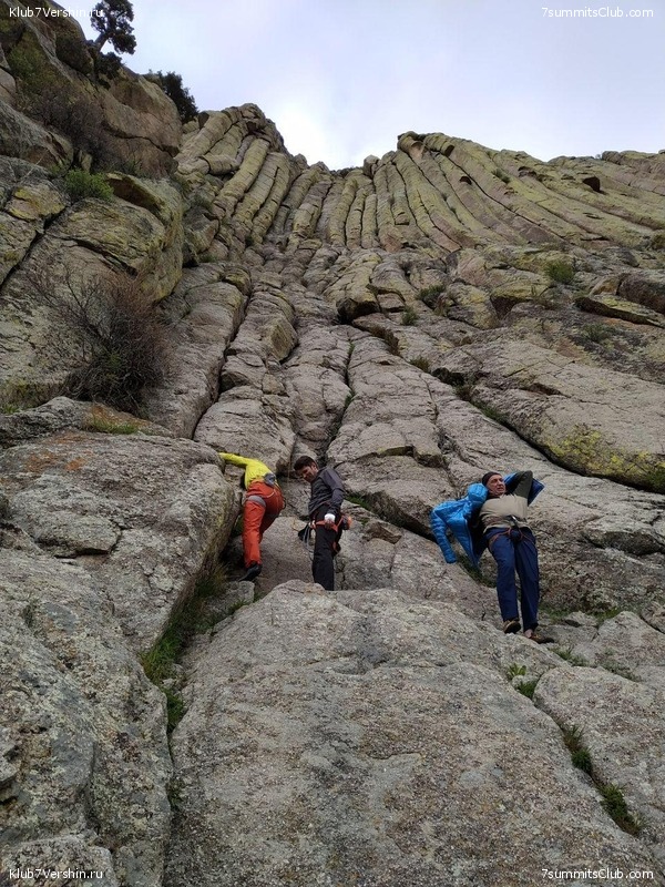 ������-�����. 2019, ���� 136