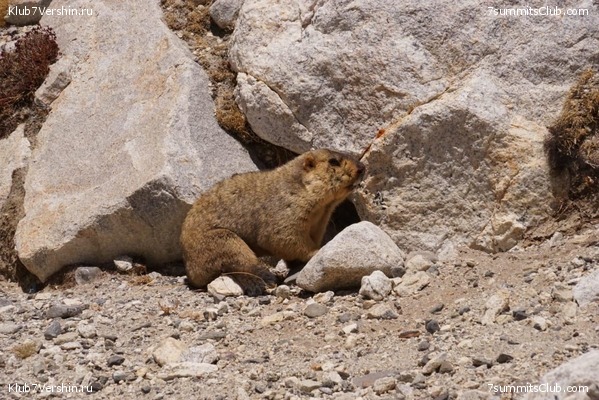 ������� 2019. ��������������. ����� 2, ���� 48