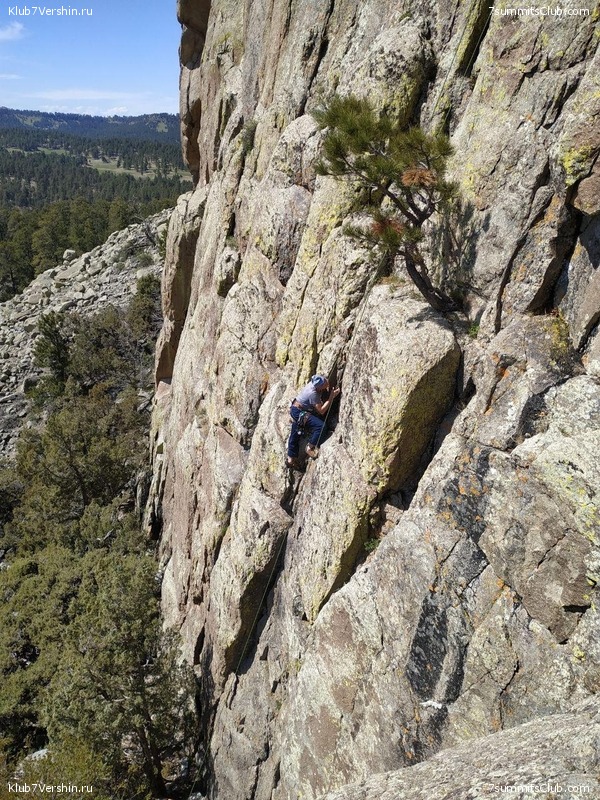 ������-�����. 2019, ���� 169