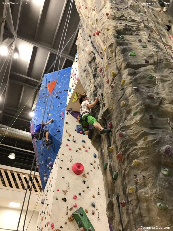 ���������� ������ ����� 2018 - 2019, ���� 121