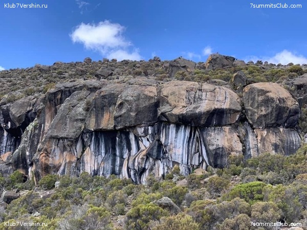 ������������ �� ���� ������.  2019 ���, �������, ���� 15