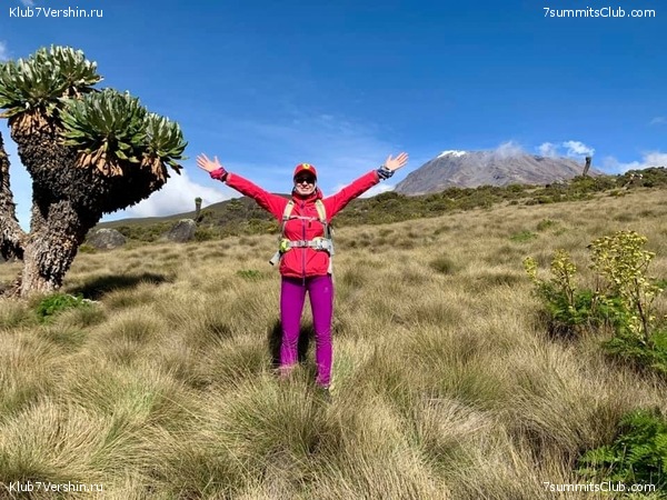 ������������ �� ���� ������.  2019 ���, �������, ���� 17