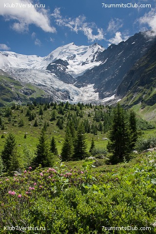 �������� ������ ��������. �����, ���� 110