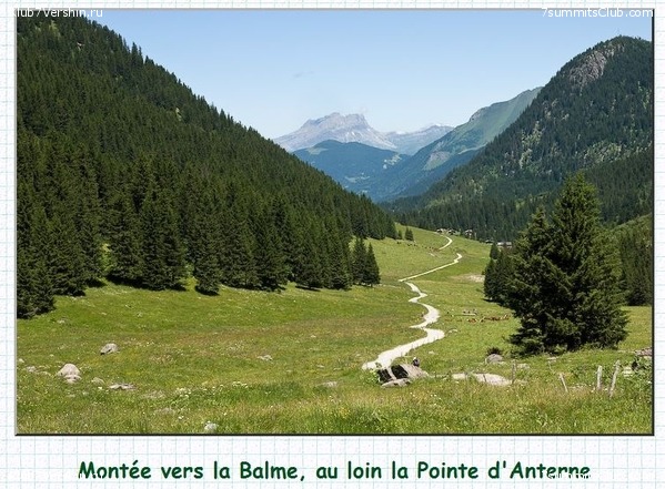 �������� ������ ��������. �����, ���� 81