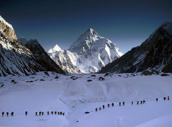 ��������, �������������� ��������, ���� 1175