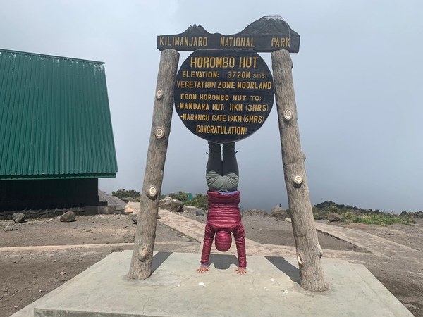 ��������, �������������� ��������, ���� 1386