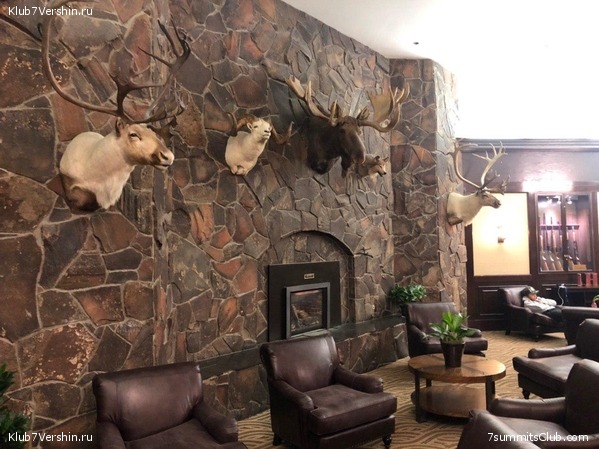 ������ 2019, ���� 8