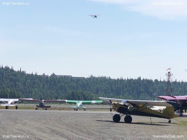 ������ 2019, ���� 95