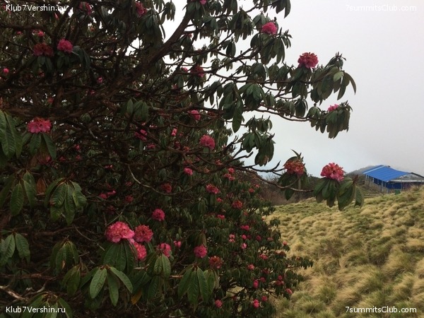 ����� �����. ����� 2018, ���� 30