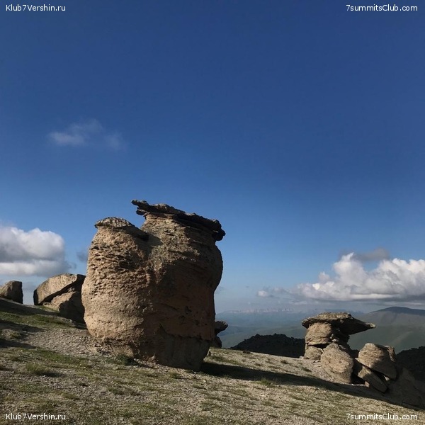 ������� 2019. ����, ���� 175