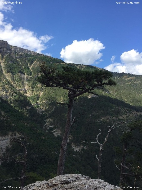 �������� ���� � �����, ���� 146