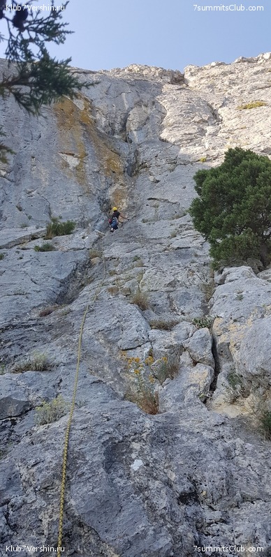 �������� ���� � �����, ���� 184