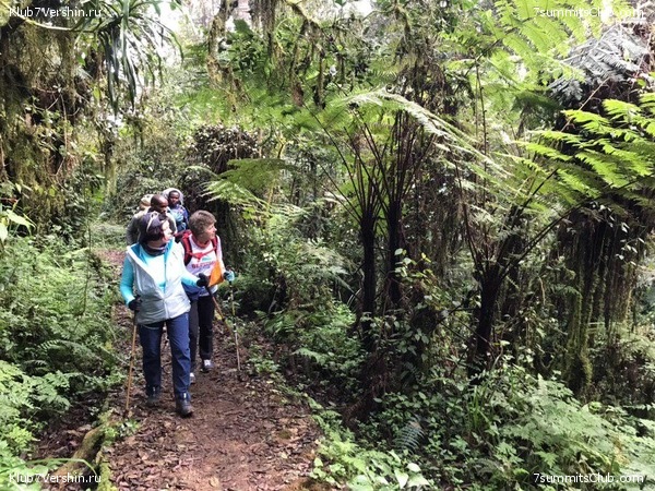 ������������. ���� 2019, ������ �����-���, ���� 37